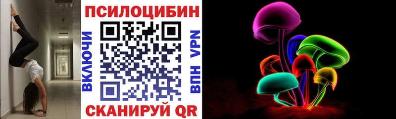 Купить закладки  Горбатов  Псилоцибиновые грибы GOLDEN TEACHER 